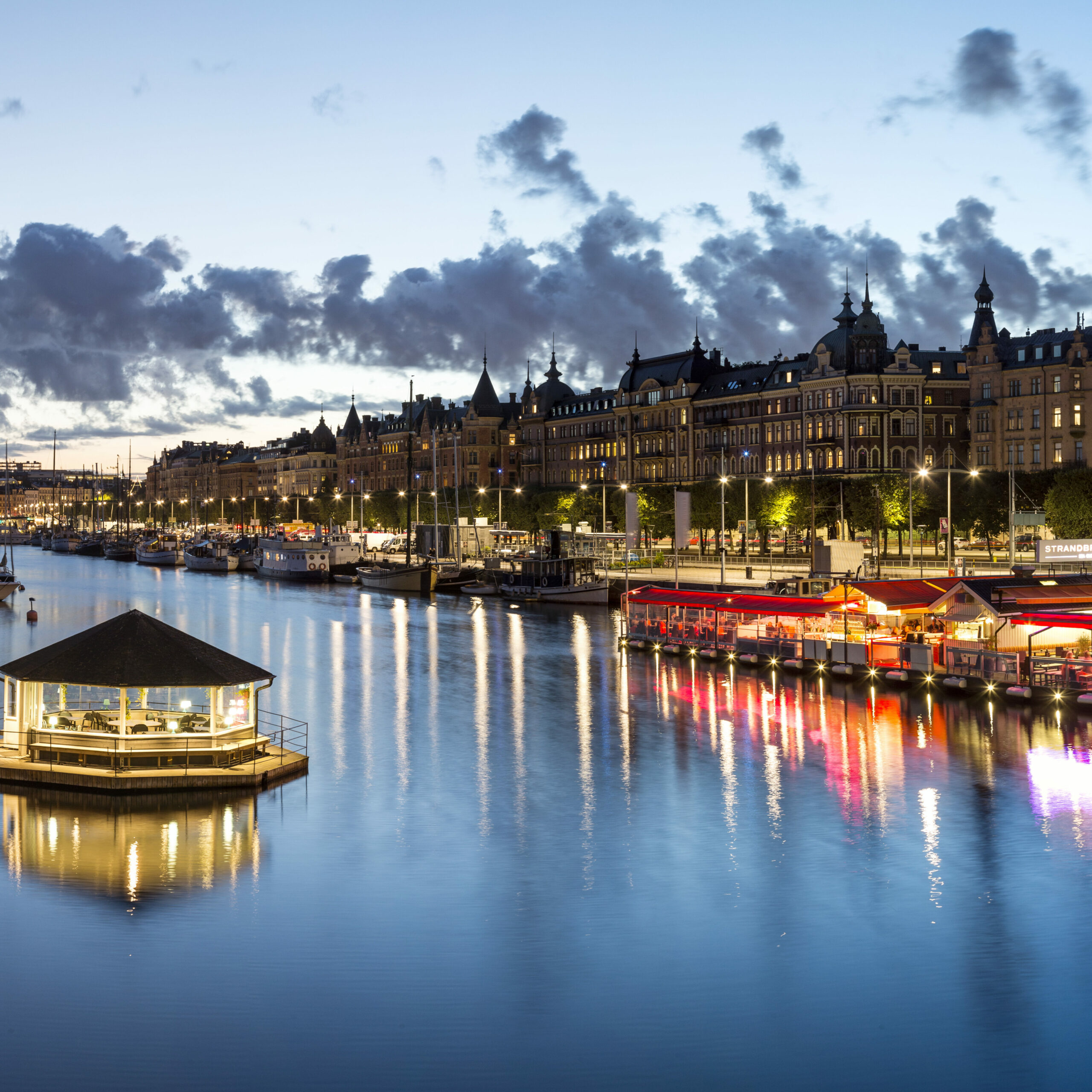 Henrik-Trygg-Djurgården